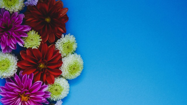 京东徐雷接替李明岗位？魏翊东：此时此刻两位都不知道安排