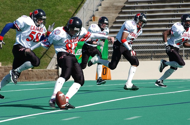 教练与球员 教练与球员