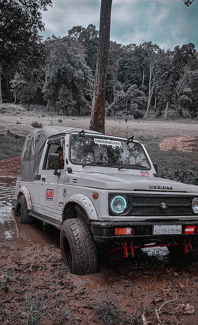 造成這種局 造成這種局