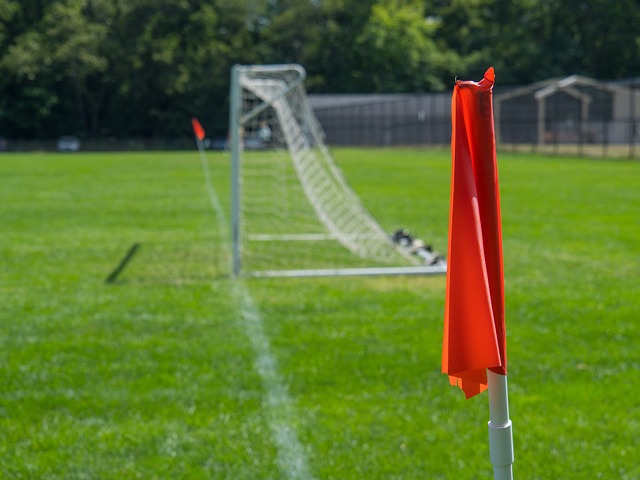 到了他们争 到了他们争